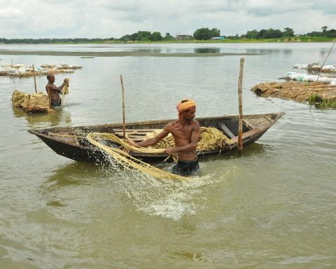 agriculture 5961023 1280