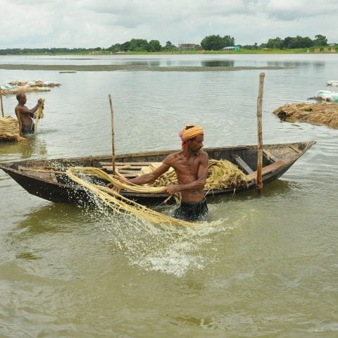 agriculture 5961023 1280