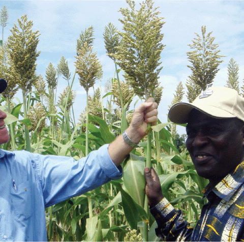 i0006 3568 58 1 8 f1006