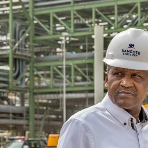Dangote fertilizer