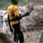 Fulani Herdsmen