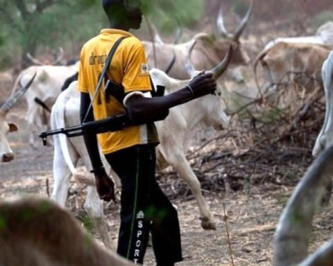 Fulani Herdsmen