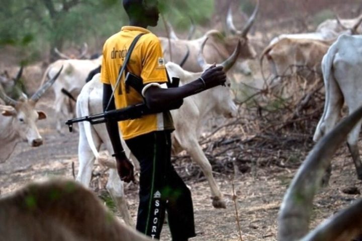 Fulani Herdsmen