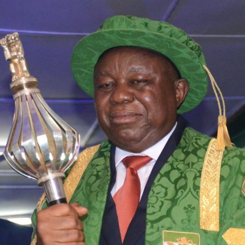 Professor Charles Igwe