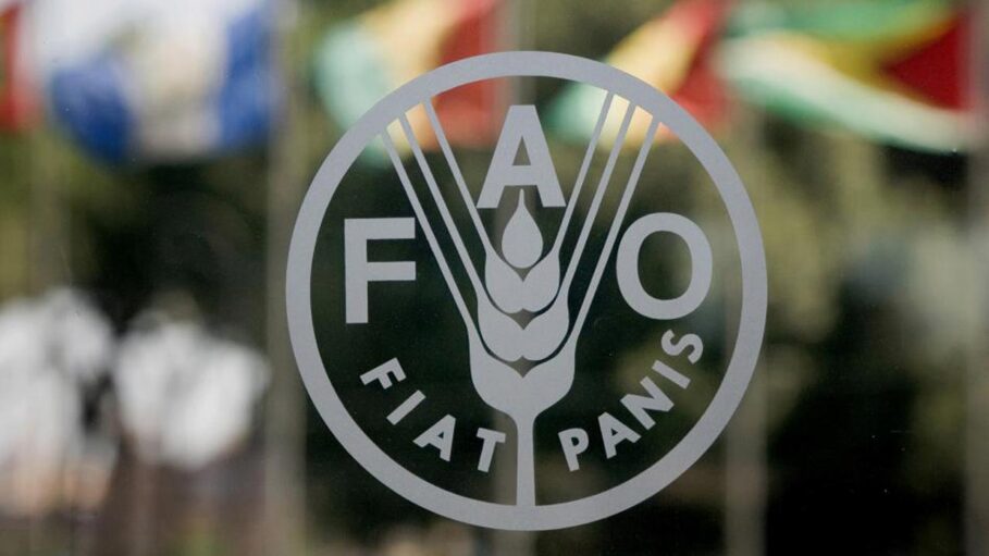 FAO logo