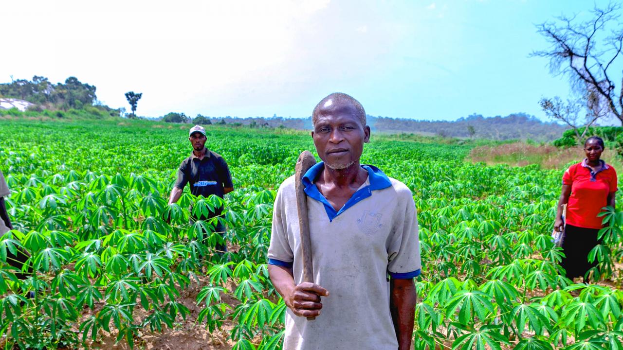 Farmers in Nigeria