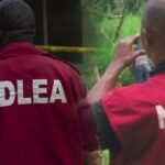 NDLEA 1