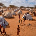first person the somali refugees planting a new life in the united states