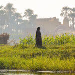 un ready to promote win win solution for blue nile dam project