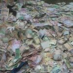 Naira