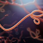 ebola