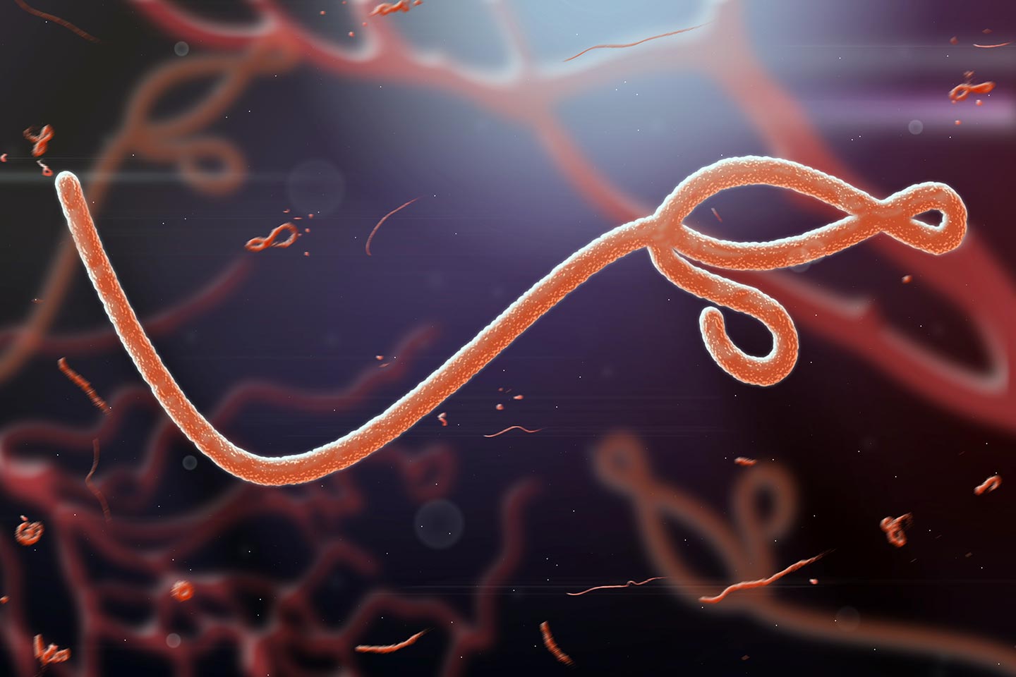 ebola