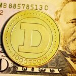 Dogecoin Holders Increase From 9% To 25% In Six Months