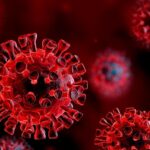 virus 3d render red 04 other