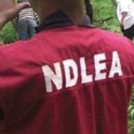 NDLEA Siezes N6bn Drugs Imported By Insurgents At Apapa