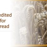 Safer Bread: How safe?!