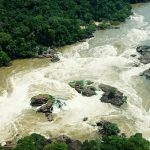 UNESCO To Support C/River National Park