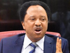 Tax Reform Bill: No Region Will Be Shortchanged, Shehu Sani Tells Northerners