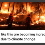 A simple solution to fixing the Environment