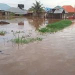 Flood victims in Delta receive farm inputs from FG