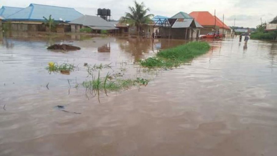 Flood victims in Delta receive farm inputs from FG