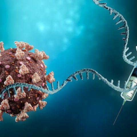 COVID-19 mRNA Vaccine