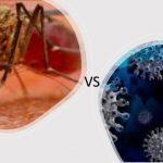 MALARIA VS COVID
