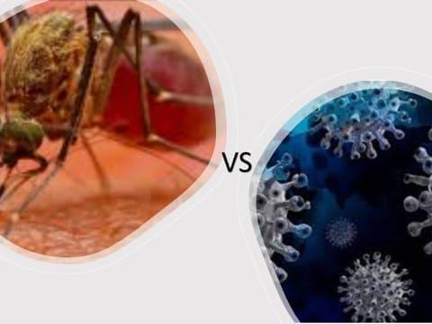 MALARIA VS COVID