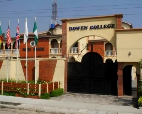 Dowen College