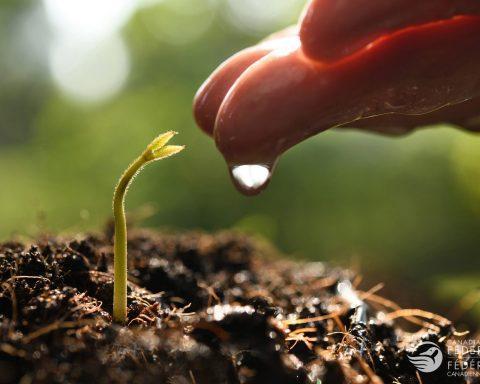Soil Scientists Develop Mobile App For Food Production