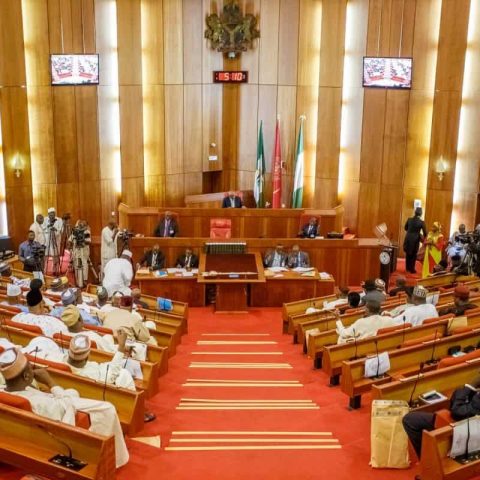 Nigerian Senate house