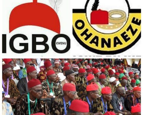 Ndigbo