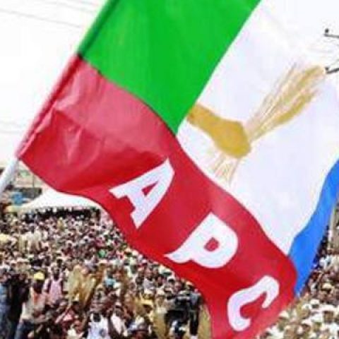 APC flag