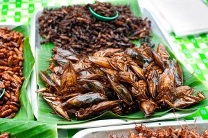 “Eat Cockroaches For Protein,” Reports Say