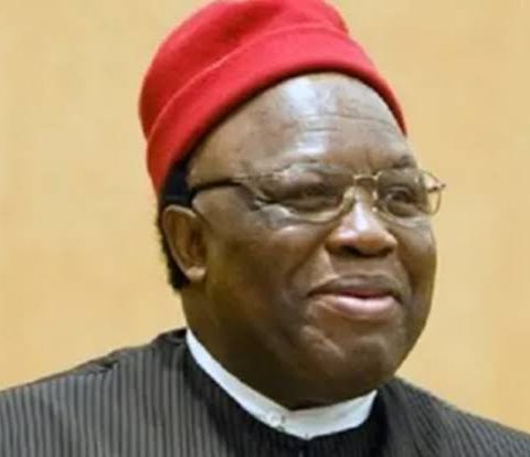 Professor George Obiozor, President-General, Ohanaeze Ndigbo