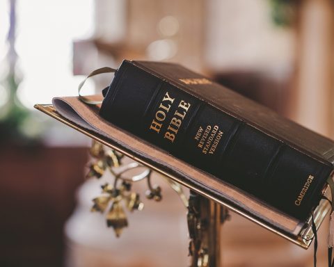 One Fact You Didn’t Know About The Bible