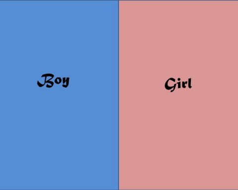 On Influencing The Sex Of Your Baby