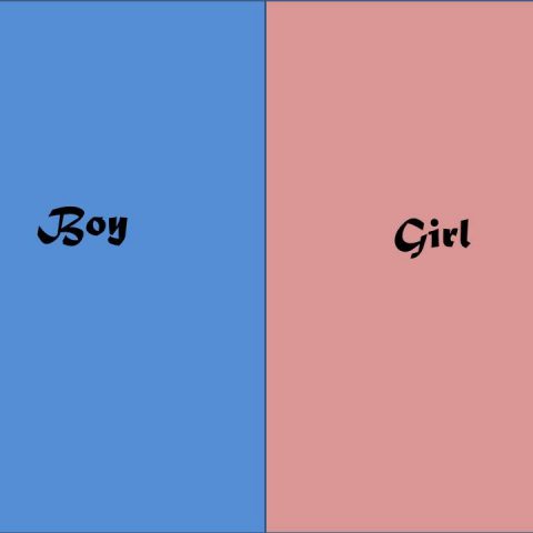 On Influencing The Sex Of Your Baby