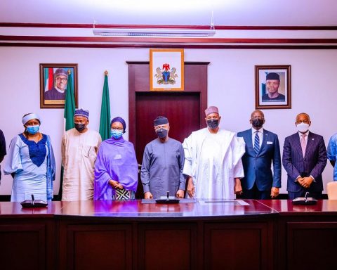 National Council on privatisation