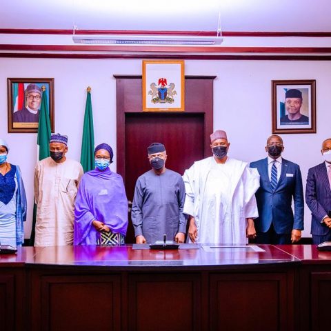 National Council on privatisation