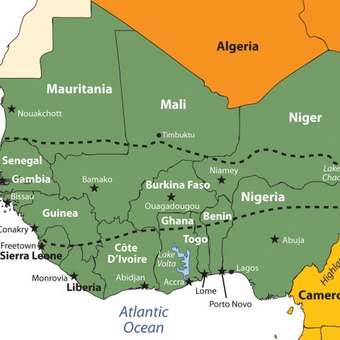 Africa's food crisis