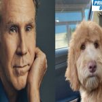 Man freaks out after discovering his dog looks like Will Ferrell