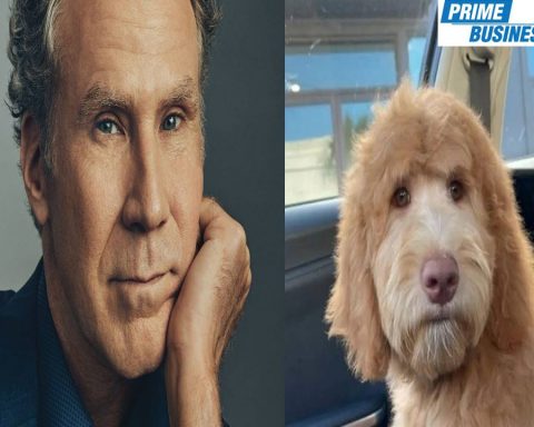 Man freaks out after discovering his dog looks like Will Ferrell