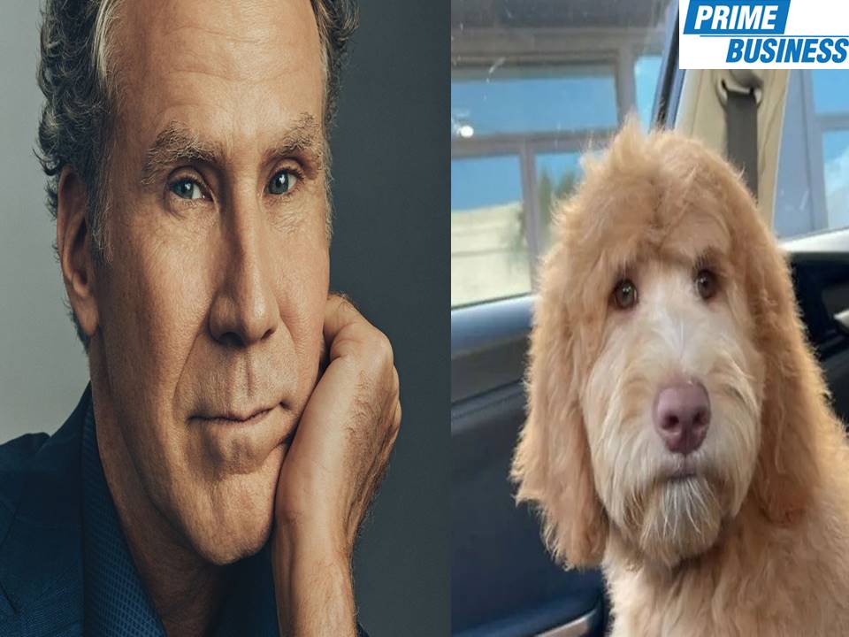 Man freaks out after discovering his dog looks like Will Ferrell