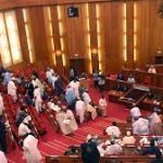 Nigerian Senate