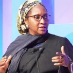 Finance Minister Likens Hardship Caused By Old Naira Deadline To Injury