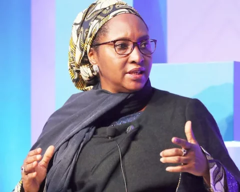 Finance Minister Likens Hardship Caused By Old Naira Deadline To Injury
