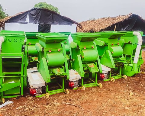 Palm Oil: Investors Pool $531M In 9 Months