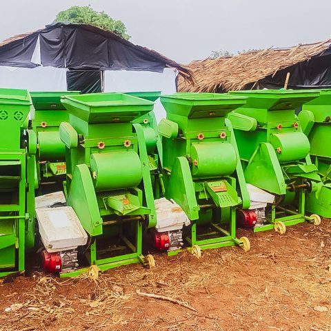 Palm Oil: Investors Pool $531M In 9 Months