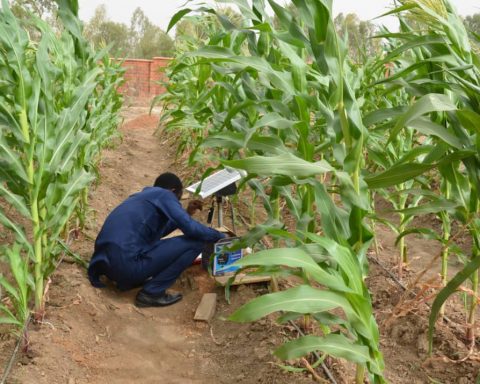 Adopt Smart Irrigation To Boost Food Production, FUTMinna Don Tasks Extension Workers, Others